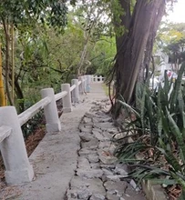 Inició la primera fase del corredor ecológico de la ribera del río Cali 