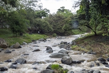 Limpieza y recuperación de la ribera del río Cali