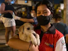 Zoonosis adelanta campaña de vacunación nocturna 