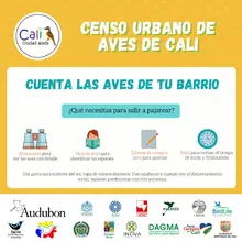 Oiga, mire y vea aves: participa al VI Censo Urbano de Aves.