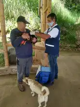  Jornadas gratuitas del Centro de Zoonosis de Cali