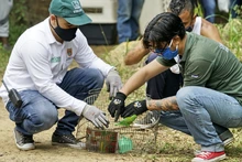 Dagma conmemoró el Día Mundial del Hábitat con jóvenes del oriente de Cali