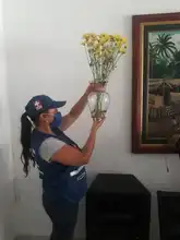 Acciones para prevenir el dengue no han parado por la pandemia 