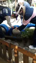 Acciones para prevenir el dengue no han parado por la pandemia 