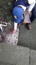 Acciones para prevenir el dengue no han parado por la pandemia 