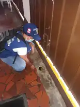 Acciones para prevenir el dengue no han parado por la pandemia 