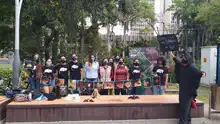 Octubre, mes de los murciélagos en Latinoamérica
