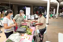 Llegan los ‘Frutos de mi Vereda’ al Bulevar del Río con las tiendas campesinas