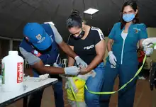 Salud Pública comprometida con los animales de compañía