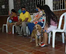 Salud Pública comprometida con los animales de compañía
