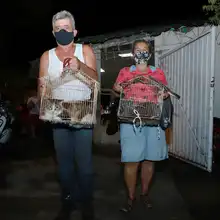 Salud Pública comprometida con los animales de compañía