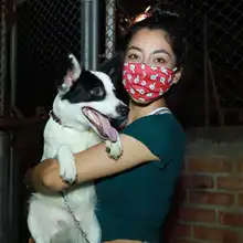 Salud Pública comprometida con los animales de compañía
