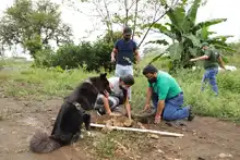 Con restauración ambiental en La Viga, Dagma conmemora el Día Mundial contra el Cambio Climático