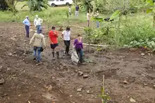 Con restauración ambiental en La Viga, Dagma conmemora el Día Mundial contra el Cambio Climático