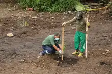 Con restauración ambiental en La Viga, Dagma conmemora el Día Mundial contra el Cambio Climático