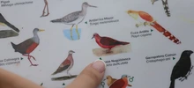 Pacto con la naturaleza para seguir conservando los humedales