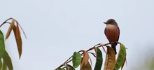 Pacto con la naturaleza para seguir conservando los humedales
