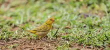 Pacto con la naturaleza para seguir conservando los humedales