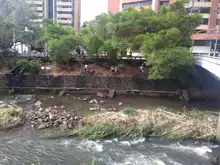 Dagma recupera ribera del río Cali en la zona centro