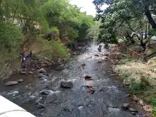 Dagma recupera ribera del río Cali en la zona centro