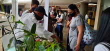 De la vereda al Bulevar del Río llegan los frutos en las Tiendas Campesinas