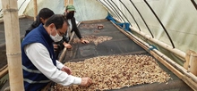 Emprendimientos rurales de Cali tienen oferta alimentaria, gastronómica, ecológica y turística