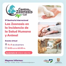 salud ambiental