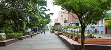 Seguridad y control para mejorar y recuperar el Bulevar de la Avenida Colombia