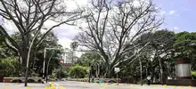Cali, declarada mejor destino emergente de Sudamérica 2020