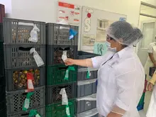 La Secretaría de Salud Pública le pone la lupa a los establecimientos en Cali