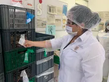 La Secretaría de Salud Pública le pone la lupa a los establecimientos en Cali