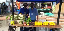 Mercado campesino en la Loma de la Cruz, 7 de noviembre 