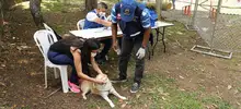 Camina San Antonio:  saludable y seguro