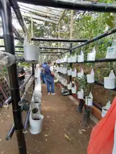 Cali fortalece su oferta productiva rural