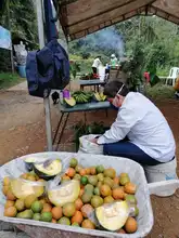 Cali fortalece su oferta productiva rural