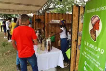 Lo mejor del Pacífico en las urambas del Parque del Perro