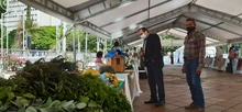 Frescos y por montones, a buen precio los Frutos de mi Vereda