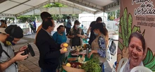 Frescos y por montones, a buen precio los Frutos de mi Vereda