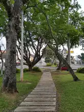 Un Plan de Silvicultura Urbana renovado presentó el DAGMA 