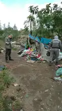 El caracol gigante africano  