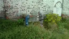 El caracol gigante africano  