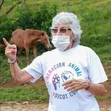 Realizan seguimiento a recuperación de animales rescatados de criadero ilegal