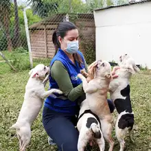 Realizan seguimiento a recuperación de animales rescatados de criadero ilegal