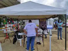 Por Cali rueda una caravana navideña con bioseguridad incluida