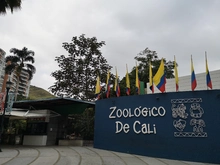 Zoológico 