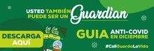 guia anticovid