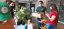 Las Tiendas Campesinas volverán recargas de Frutos de mi Vereda´ en 2021