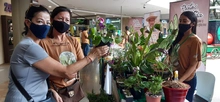 Las Tiendas Campesinas volverán recargas de Frutos de mi Vereda´ en 2021