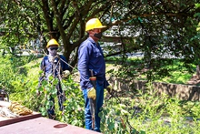 La Administración del Puro Corazón adelanta obras de mantenimiento y adecuación del Bulevar de la Avenida Colombia