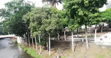 La Administración del Puro Corazón adelanta obras de mantenimiento y adecuación del Bulevar de la Avenida Colombia